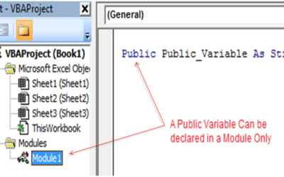 How to Declare a Public Variable in VBA